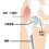 変形性股関節症、股関節の痛み
